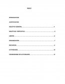 Programa para jefe de servicio hospital