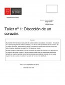 Esquema