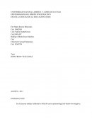 Epistemologia del diseño investigativo