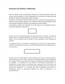 Espectrofotometria