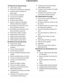 Cadera con piernas flexionadas volteamos derecha e izquierda