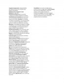 Lenguajes de programacion