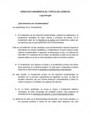 Resumen Derechos Fundamentales y Crítica