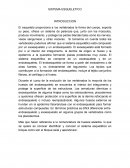 Como es el Sistema esqueletico