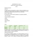 Reporte