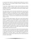 La nueva Interrupción legal del embarazo