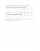 En el presente trabajo abordaremos algunos temas que abarcan la historia de la epidemiologia como lo es su surgimiento