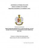 IMPACTOSOCIOECONÓMICO EN LA SUSTITUCIÓN DEL CULTIVO DE MAÍZ POR AGAVE EN EL MUNICIPIO DE SANTA MARÍA DEL ORO