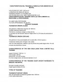 CARACTERISTICAS DEL TSUNAMI ALTAMAR (ALTURA MENOR DE UN METRO)