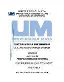 Cuales son los Principales teoricas de la enfermeria