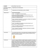 Scracht suma y divicion de fraccionarios