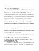 Políticas para Tic y prácticas docentes