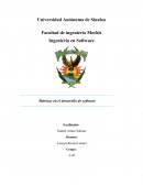 Metricas en el desarrollo de software