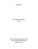 Ensayo sobre atencion al usuario