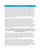 Gestión de la diversidad en una organización