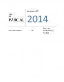 Enfoque gestáltico del aprendizaje