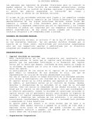 LA SOCIEDAD ANÓNIMA Características