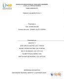 TRABAJO COLABORATIVO N°1 Estadistica