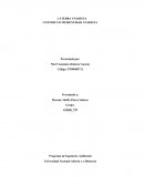 CONSTRUYO MI IDENTIDAD UNADISTA