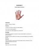 Actividad 1 Huellas digitales (dactilares)