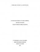 TEORIA DEL ESTADO Y LA CONSTITUCION