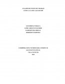 ANALISIS DE PUESTO DE TRABAJO CLINICA LLANOS SALUDCOOP