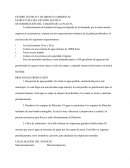La determinación del tamaño del negocio depende de la demanda, por lo tanto nuestra empresa al ser primeriza, contara con los requerimientos mínimos de la planta purificadora