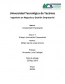 Ensayo de innovacion empresarial