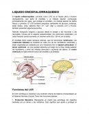 LIQUIDO ENCEFALORRAQUIDEO