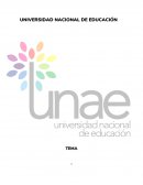 Actividades lúdicas para el desarrollo de pensamiento abstracto en los niños de octavo año básico de la Unidad Educativa Intercultural Bilingüe Juncal