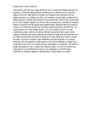 Ensayo de la calle a harvad