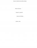 Ensayo sobre La Novela