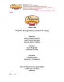 Programa de salud y seguridad en el trabajo