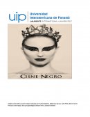 Trabajo del cisne negro pelicula