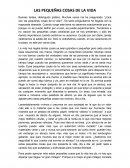 LAS PEQUEÑAS COSAS DE LA VIDA