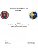 Evidencia de Organización y Jerarquización