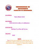 LA grandes Teorías que sustentan el cuidado del niño y del adolescente modelo de interacción para la evaluación de la salud infantil