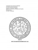 Cuales son los Efectos Macroeconómicos de los Desastres naturales