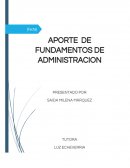 Aporte de fundamentos saida