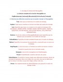 La gran investigacion de la sintaxis del MessageBox