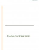 PSICOLOGÍA ORGANIZACIONAL