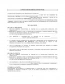 CONTRATO DE DESARROLLO DEL PROGRAMA DE COMPUTO