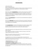 Resumen primer parcial administracion uba