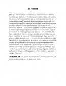 Tema de Que sigue despues de la muerte