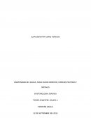 UNIVERSIDAD DEL CAUCA, FACULTAD DE DERECHO, CIENCIAS POLITICAS Y SOCIALES