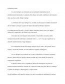 Los arcos faríngeos son estructuras que son sumamente importantes para el entendimiento del desarrollo