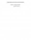 El negocio ilegal de la coca en el Perú y cultivos lícitos alternativos