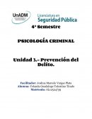 Evidencia de Aprendizaje. Entrevista a una Víctima.