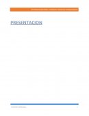 Este trabajo es presentado con la finalidad de poder brindar información acerca de la realidad de una empresa llevando a cabo