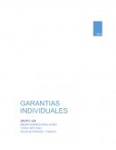 Garantías individuales